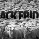 Illustration for article titled 8 Black Friday Tips to Help Stay Sane This Year
